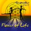 Flower Of Life