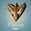 Venecia - Single