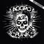 AGGRO PUNK