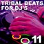 Tribal Beats for DJ's - Vol. 11