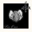 Dear Omen - Single