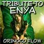 Orinoco Flow
