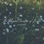 The Magical Gardens of Lorien