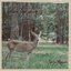 i follow the deer