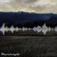 Wavelength - Single