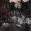 Paradise Lost