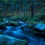 Firefly Waterfalls
