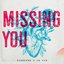 Missing You - Single