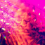 Avatar for LiveFeedback