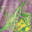 Avatar for archiecleaver10