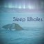 Sleep Whales