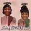 Somebody That I Used To Know (feat. McVertt) - Single
