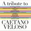 A Tribute to Caetano Veloso