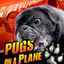 Аватар для PugsOnAPlane