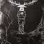 Little Paranoia Things / The Deer