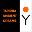 Ellipsis III: Tundra.Ambient.Dreams., Volume 3