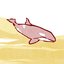 Song for the Orca