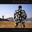 Delicate Sound Of Thunder [Disc 2]