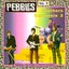 Pebbles, Volume 9: Southern California 2