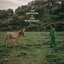 The Shepherd & the Scapegoat - EP