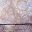 In Search Of A Unified Theory