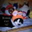 Bunny Cat