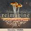 Mycelia (Fantastic Fungi: Reimagine)