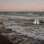 Waves and Shoreline Ambience