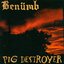 Benümb / Pig Destroyer