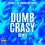 Dumb Crasy (Remix)