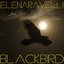 Blackbird (feat. Joe Meneghini)