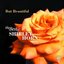 But Beautiful: The Best Of Shirley Horn