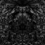 The Jagged Womb