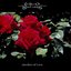 Garden Of Love