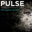 Pulse/selected songs (2007)