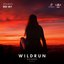 Red Sky - Single