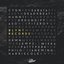THE BLVNT COMPILATION