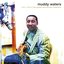 Muddy Waters - Rollin