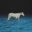 drown