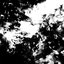 Dark Clover - EP