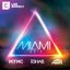 Miami 2013 (Mixed by MYNC, R3hab and Nari & Milani)