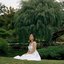 Weeping Willow