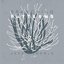 Branching Patterns
