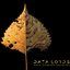 DATA LORDS Album 2: Our Natural World