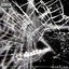SHATTERED