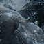 Phantom Pains - Single