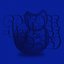 cat face, cat place policy (slowed + reverb)