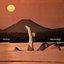 Diving Into Reality - EP
