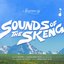 Sounds Of The Skeng