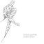 White Album
